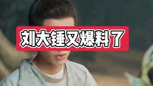 刘大锤爆料名单大全最新,揭秘娱乐圈风云变幻