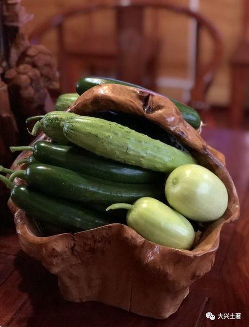 吃瓜香的网红,揭秘网红背后的美食传奇